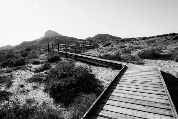 Dřevěná Promenáda Cartageně Murcia Španělsko — Stock fotografie