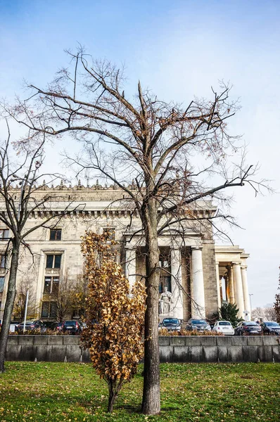 Warsaw Πολωνία Νοέμβριος 2016 Ένα Γυμνό Δέντρο Μπροστά Από Παλάτι — Φωτογραφία Αρχείου