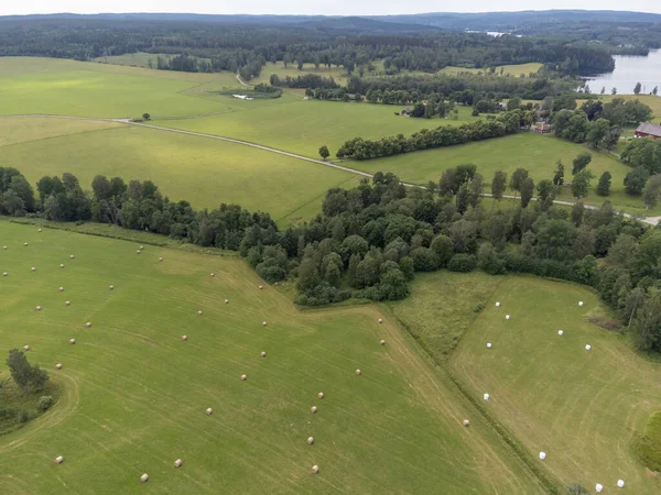 Uma Vista Aérea Dos Campos Verdes Florestas — Fotografia de Stock