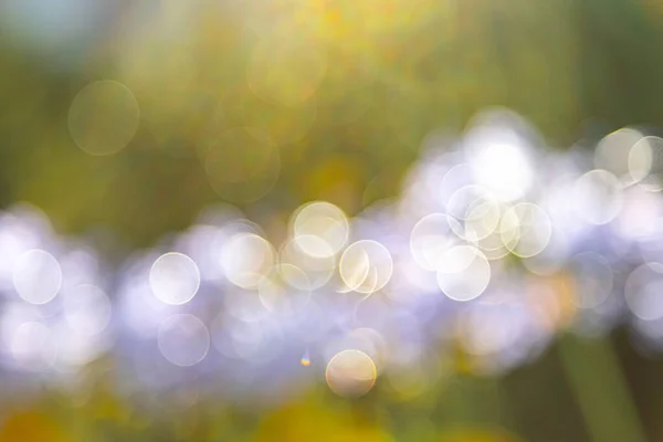 Faros Lente Luces Bokeh Borrosas Blanco Para Diseño Web Fondos — Foto de Stock