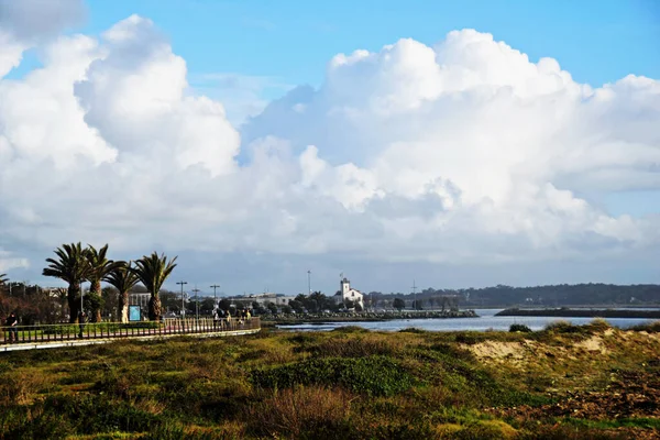 Eine Wunderschöne Landschaft Mit Palmen Und Einem See — Stockfoto