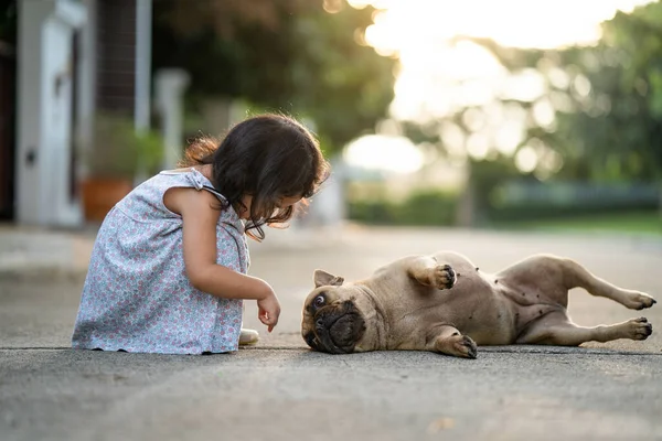 Een Thaise Schattig Klein Meisje Spelen Met Een Franse Bulldog — Stockfoto