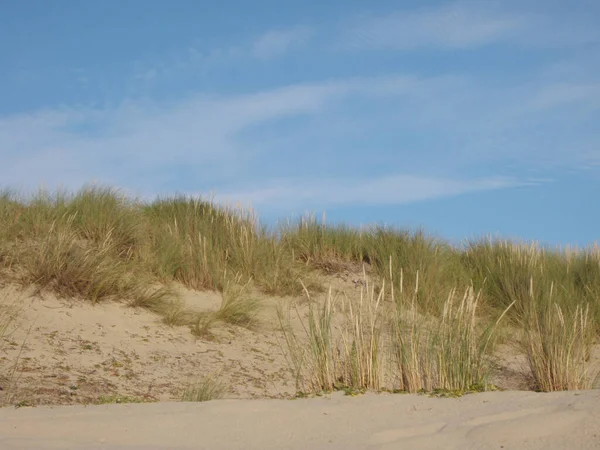 모래를 감싸고 해변에 여름날 — 스톡 사진