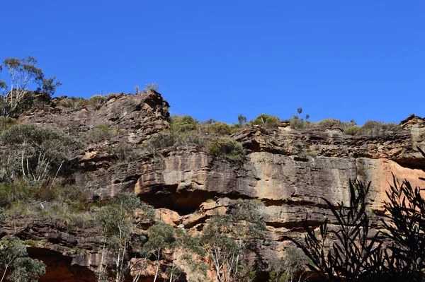 Över Kanjonen Väggen Medan Grand Canyon Walk Blå Bergen Australien — Stockfoto