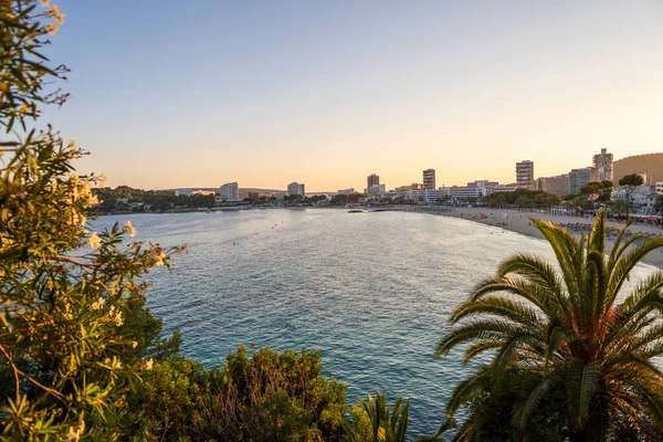 Una Bella Spiaggia Sabbiosa Con Palme — Foto Stock