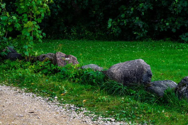 Vacker Utsikt Över Ett Fält Med Vallar Gjorda Delvis Torkat — Stockfoto