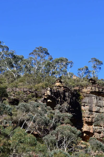 Widok Ścianę Kanionu Podczas Spaceru Wielkim Kanionie Blue Mountains Australii — Zdjęcie stockowe