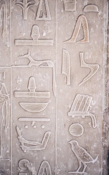 Kairo Ägypten Juni 2021 Eine Vertikale Nahaufnahme Ägyptischer Hieroglyphen Ägyptischen — Stockfoto