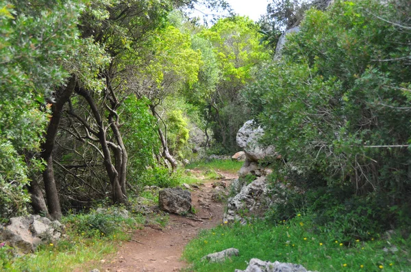 Turistická Stezka Vzdálenou Zelenou Krajinou Španělském Ostrově Menorca — Stock fotografie