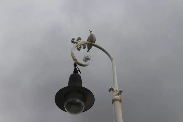 Снимок Старой Уличной Лампы Фоне Облачного Неба — стоковое фото