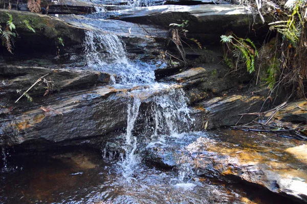 Kaskada Południowym Lawson Waterfall Circuit Walk Blue Mountains Australii — Zdjęcie stockowe