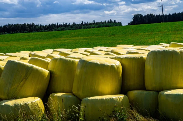 Some Silages Made Partially Dried Grass Packed Agro Stretch Membrane — Stock Photo, Image