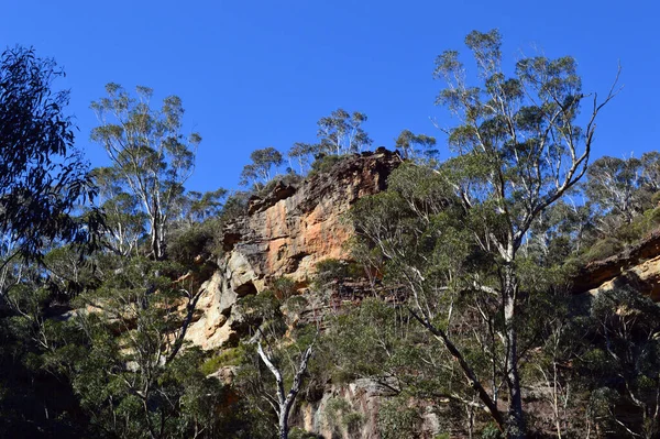 Över Väggarna Kanjonen Längs Grand Canyon Walk Blackheath Blå Bergen — Stockfoto