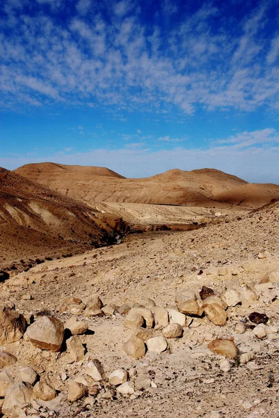 Wadi Srail Deki Negev Çölünde Orta Doğu Manzarası — Stok fotoğraf