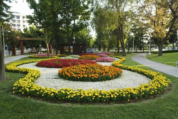 Une Vue Naturelle Fleurs Vibrantes Dans Parc Public Istanbul Turquie Images De Stock Libres De Droits