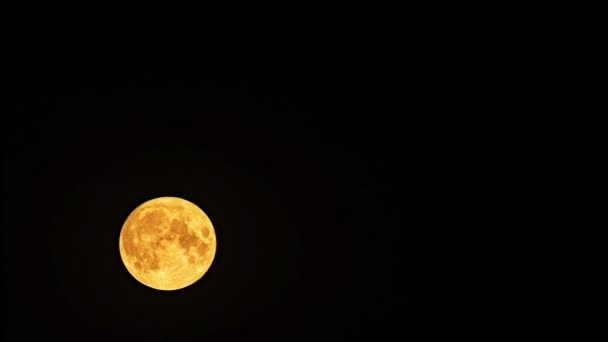 Lua Céu Noturno — Vídeo de Stock