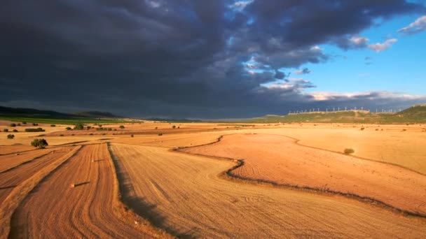 Schöne Landschaft Mit Einem Weizenfeld Und Einem Bewölkten Himmel — Stockvideo