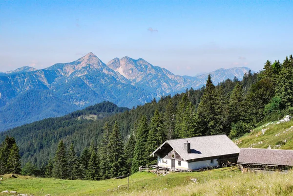 Kohler Alm Berghut Bij Inzell Met Sonntagshorn Bij Chiemgau Alpen — Stockfoto