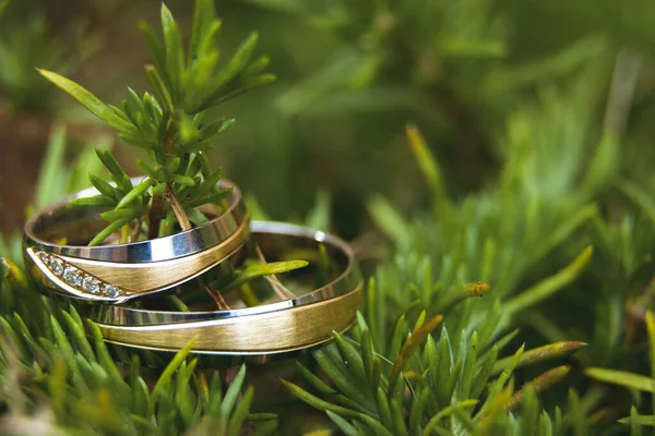 Tiro Das Alianças Casamento Colocadas Umas Cima Das Outras Pele — Fotografia de Stock