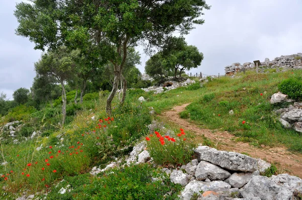 Hiking Path Remote Green Landscape Spanish Island Menorca — Stock Photo, Image