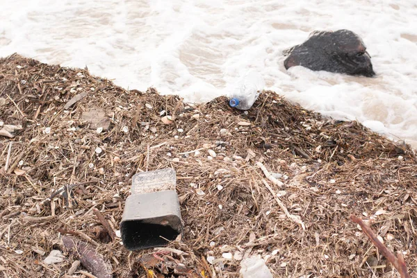 Schmutziger Strand Mittelmeer Israel Plastikflaschen Kinderwagen Tote Fische Umweltkatastrophe — Stockfoto
