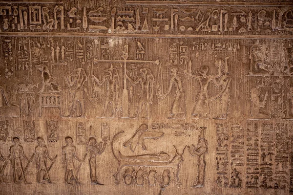 Cairo Egypt Jun 2021 Ancient Egyptian Carving Gods Anubis Horus — Stock Photo, Image