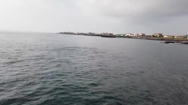 海豚在海里的船边玩耍 — 图库视频影像