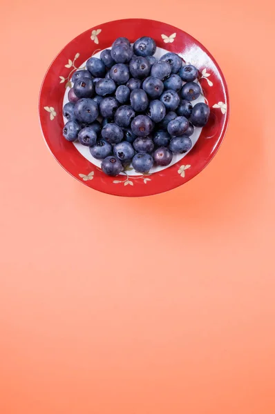 Vertical Closeup Red Plate Blueberry Orange Background — Stock Photo, Image