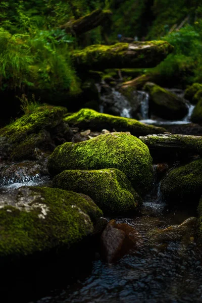 Čistý Přírodní Vodopád Skály Pokryté Mechem Altai Rusko — Stock fotografie