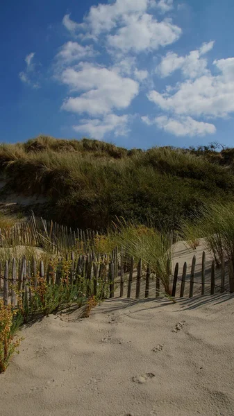 Вертикальный Снимок Деревянного Забора Зеленой Травы Песчаном Пляже — стоковое фото