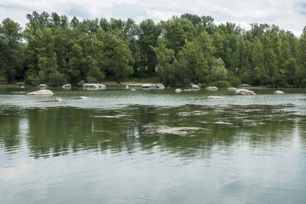 Lac Samoreau Lake Next Seine River Seine Marne Fontainebou France — ストック写真
