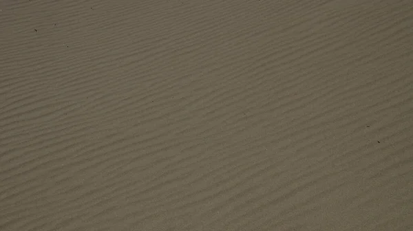 Eine Nahaufnahme Von Einem Sandstrand Perfekt Für Den Hintergrund — Stockfoto