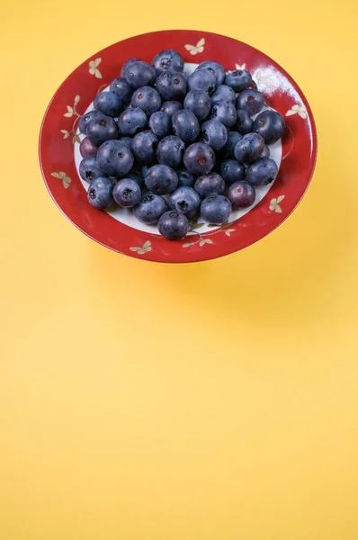 Vertical Closeup Red Plate Blueberry Yellow Background — Stock Photo, Image