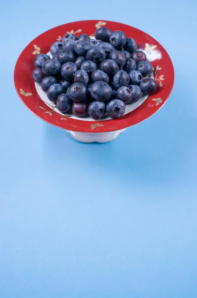 Vertical Closeup Red Plate Blueberry Aesthetic Blue Background — Stock Photo, Image