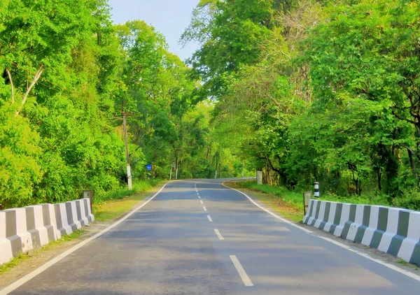 Die Autostraße Inmitten Hoher Bäume Mit Dichtem Grünen Laub Und — Stockfoto