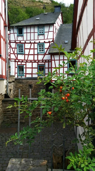 德国一座白色的小房子环绕着大自然 是一个舒适的城市风景的风景画 — 图库照片
