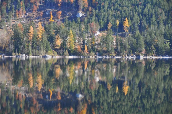 Follaje Otoño Lago Altaussee Estiria Salzkammergut Austria — Foto de Stock