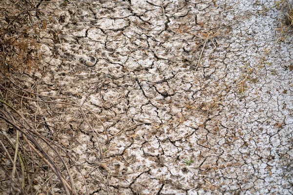 Een Top Uitzicht Van Gebarsten Gedroogde Maalde Textuur — Stockfoto