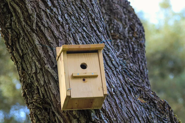 Dřevěná Ptačí Budka Parku — Stock fotografie