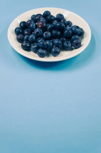 Vertical Closeup White Plate Blueberry Blue Background — Stock Photo, Image