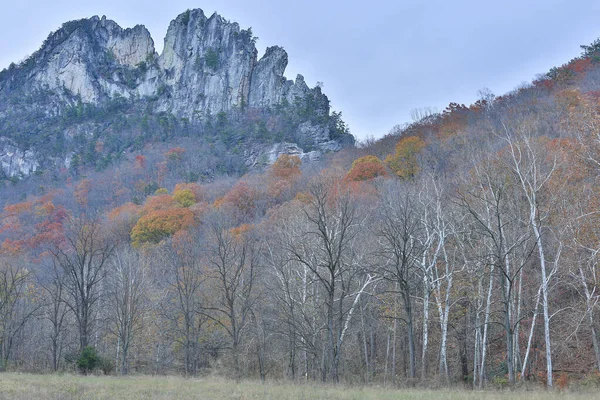 Krásný Výhled Seneca Rocks Západní Virginii Usa Barevnými Stromy Kopcích — Stock fotografie