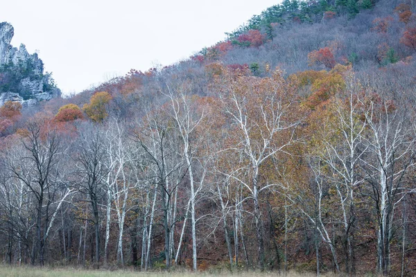 Μια Όμορφη Θέα Των Πολύχρωμων Φθινοπωρινών Δέντρων Στους Πρόποδες Ενός — Φωτογραφία Αρχείου