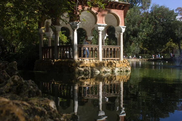 Primer Plano Macho Parado Parque Reflejado Lago — Foto de Stock