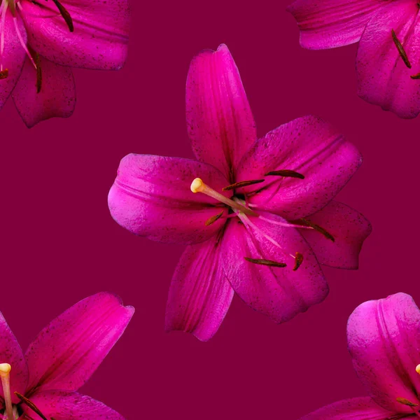 花のシームレスなパターンが背景に咲く — ストック写真