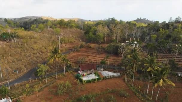 Images Aériennes Paysages Tropicaux Avec Petits Bâtiments — Video