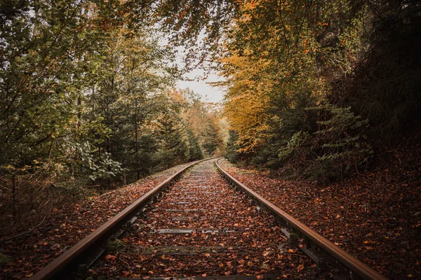Μια Γραφική Θέα Του Σιδηροδρόμου Και Φθινοπωρινά Φύλλα Στο Έδαφος — Φωτογραφία Αρχείου