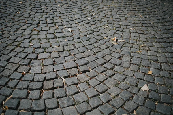 Primo Piano Una Strada Ciottoli — Foto Stock