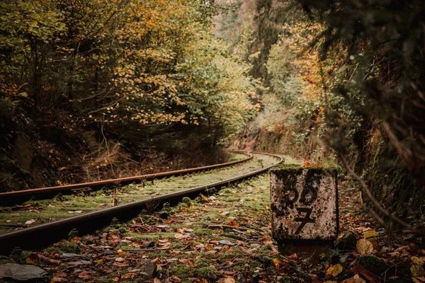 Una Vista Panorámica Del Ferrocarril Las Hojas Otoñales Suelo Los — Foto de Stock