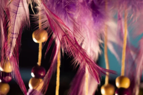 梦想捕手装饰精美的紫色和粉色羽毛 — 图库照片
