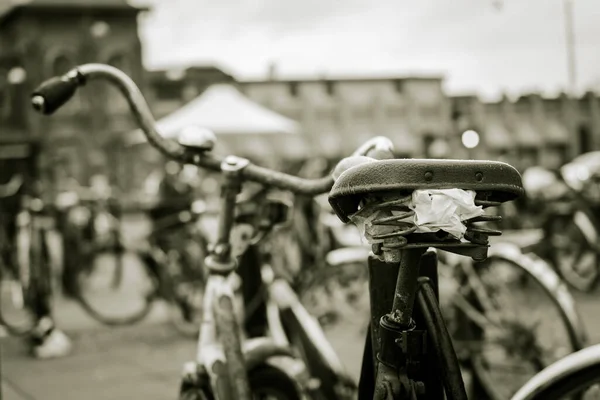 一辆旧自行车上的黑白照片 — 图库照片